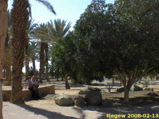 Negew
